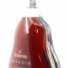 Hennessy Paradis - Rare Cognac - Travel Retail 40%